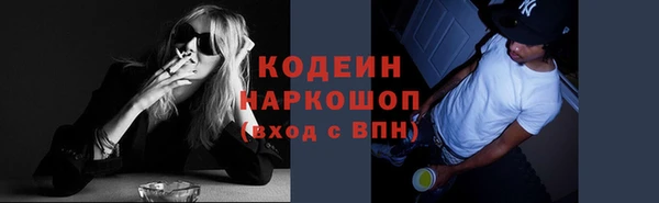 шишки Кукмор