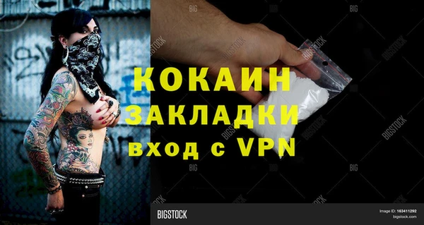 шишки Кукмор
