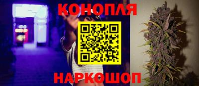 индика Гусев