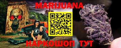 индика Гусев